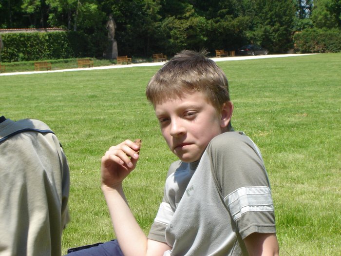 042 2005 Calypso   bike zavhod Hvezda